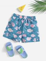   Boys Swimwear 9663