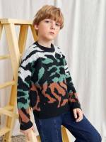 Multicolor Regular Casual Boys Knitwear 969