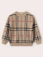  Casual Plaid Toddler Boys Knitwear 8777