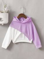 Asymmetrical Long Sleeve Hooded Toddler Girl Sweatshirts 832