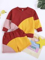 Casual Colorblock Long Sleeve Toddler Girl Two-piece Outfits 3510