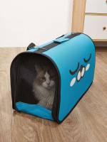  Cartoon Pet Carrier 8598