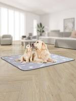   Pet Cleaning 9193