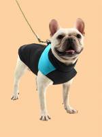  Colorblock  Pet Clothing 5085