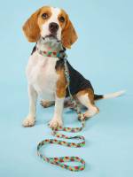  Multicolor  Pet Collars, Leashes  Harnesses Sets 1131