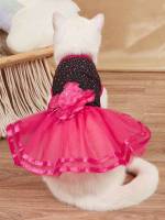 Multicolor  Pet Clothing 4215