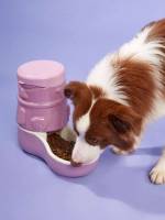  Plain Pet Bowls  Feeders 5594