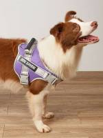  Letter Multicolor Pet Harnesses 8412