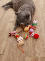   Pet Toys 5997