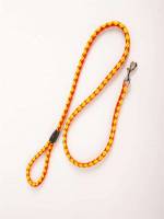  Multicolor Pet Leashes 2394