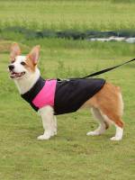   Colorblock Pet Coats  Jackets 9141