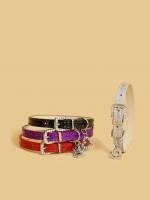 Multicolor Plain  Pet Collars 2029