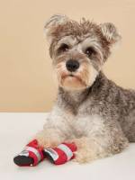   Pet Shoes  Socks 3669