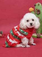   Pet Clothing 3115