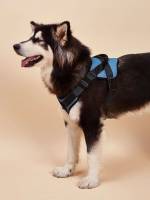  Multicolor  Pet Harnesses 1467