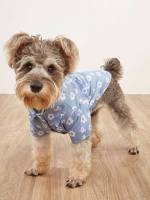   Pet Clothing 7361