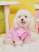  Gingham  Pet Supplies 481