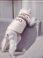   Pet Clothing 7543