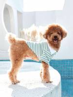   Pet Clothing 5613