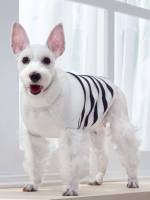  Striped Multicolor Pet Sweaters 6904