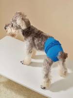  Multicolor Pet Functional Clothing 240