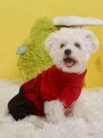  Multicolor Colorblock Pet Clothing 9678