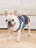  Rainbow Stripe  Pet Supplies 1096