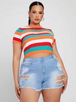 Round Neck Crop Rib-Knit Rainbow Stripe Plus Size Knit Tops 5987