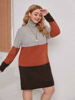 Multicolor Long Sleeve High Neck Colorblock Plus Size Knitwear 2476