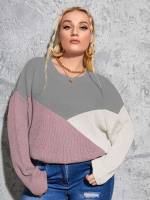  Colorblock Multicolor Plus Size Knitwear 572