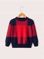 Colorblock Casual Long Sleeve Toddler Boy Sweaters 5764