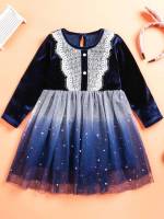 Regular Fit Round Neck Long Sleeve Toddler Girl Dresses 3951