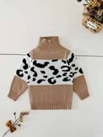 Colorblock Regular Fit High Neck Regular Toddler Girl Sweaters 552