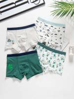  Multicolor Boys Underwear 6128