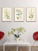 Plants  Multicolor Wall Art 583