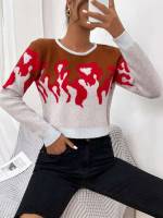 Regular Fit Fire Multicolor Women Knitwear 3288