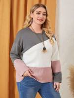 Casual Round Neck Regular Fit Multicolor Plus Size Sweaters 551