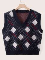  Regular Casual V neck Plus Size Knit Tops 1760