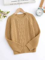 Regular Plain Long Sleeve Boys Sweaters 8839