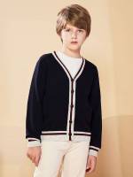  Regular Striped V neck Boys Knitwear 2571