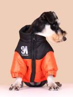   Orange Pet Clothing 699