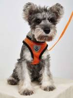 Orange  Pet Collars, Leashes  Harnesses Sets 5795