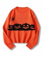  Orange Regular Fit Regular Women Sweaters 2869