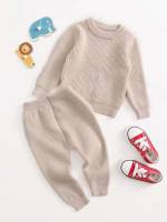 Regular Fit  Round Neck Baby Knitwear 4441