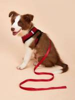 Pink  Colorblock Pet Leashes 27