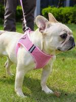   Pink Pet Collars, Leashes  Harnesses Sets 244