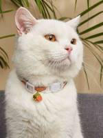   Pet Collars 7305