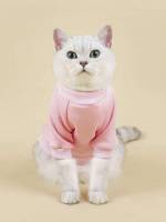   Pet Clothing 2110