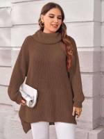 High Neck Long Oversized Plus Size Sweaters 538