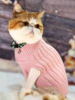   Pet Sweaters 470